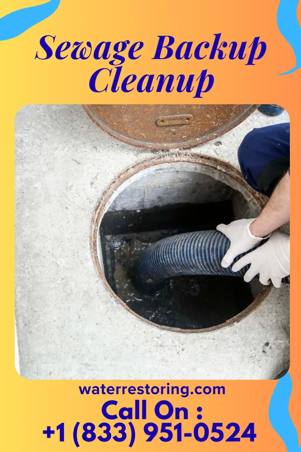 Sewage Backup Cleanup in Laurel, MS